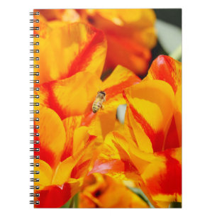 Sunny Honey Bee Notebook
