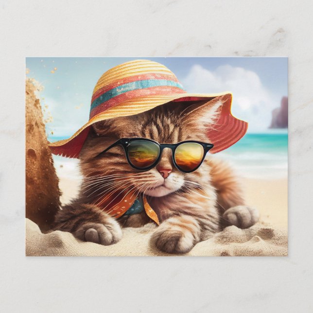 Sunny Kitty  Postcard (Front)