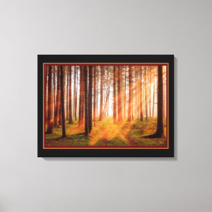Sunny Magic Forest Canvas Print