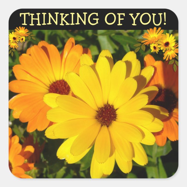 Sunny Marigold Thinking of You Square Sticker (Front)