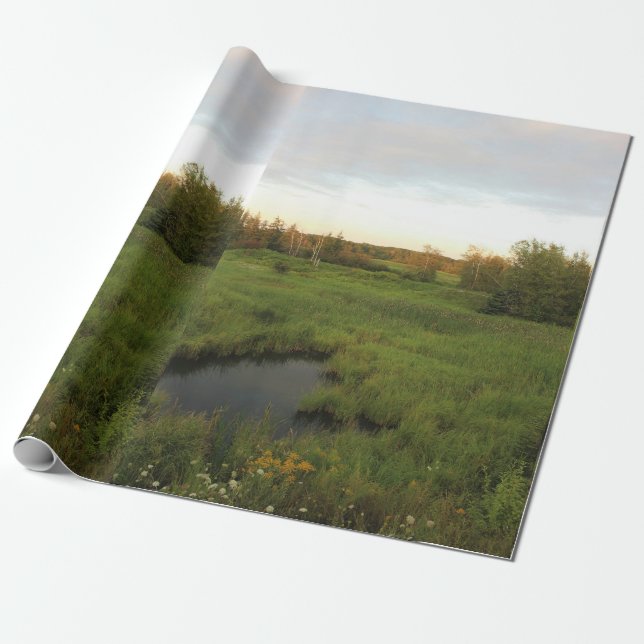 Sunny Meadow Wrapping Paper (Unrolled)