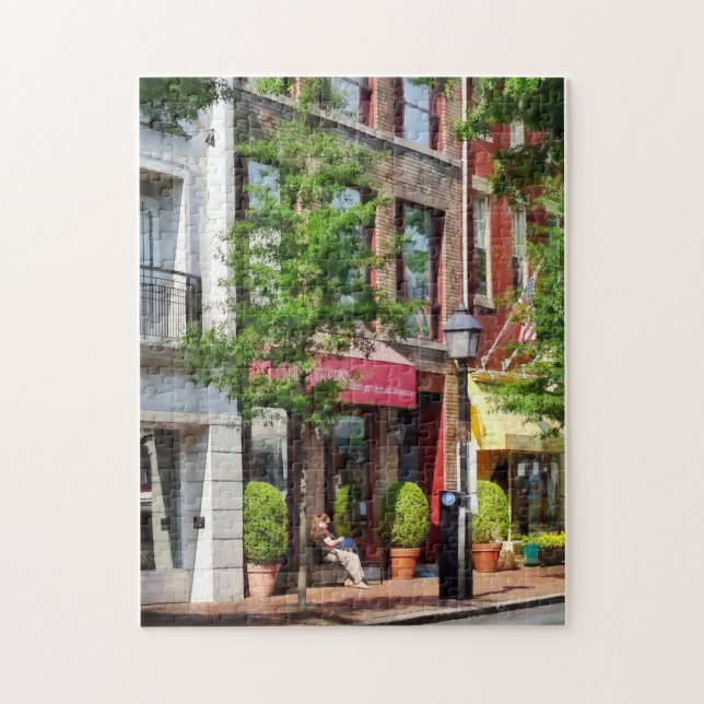 Sunny Morning Alexandria VA Jigsaw Puzzle (Vertical)