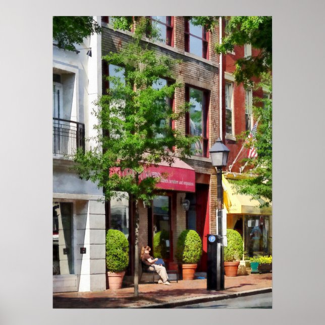 Sunny Morning Alexandria VA Poster (Front)