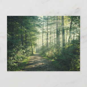 Sunny October Morning in Hamburg Postcard