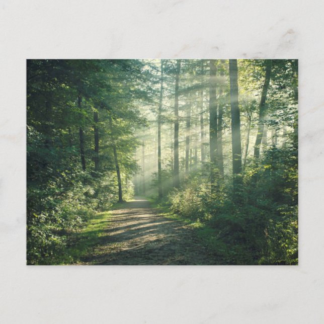 Sunny October Morning in Hamburg Postcard (Front)