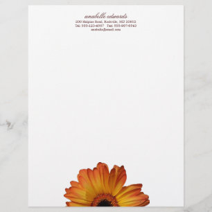Sunny Orange gerbera daisy flower bloom personal Letterhead Design