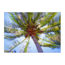 SUNNY PALM 10x14