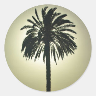 Sunny Palm Classic Round Sticker