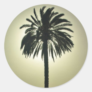 Sunny Palm Classic Round Sticker