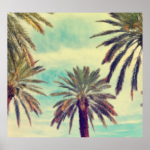 Sunny Palm Plantation: Cultivated Oasis. Poster