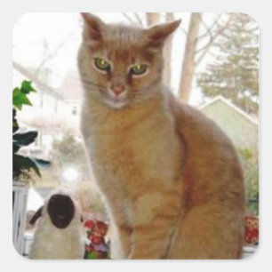 Sunny Papoochie Stickers