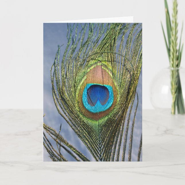 Sunny Peacock Feather Card (Front)