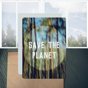 Sunny pine forest card