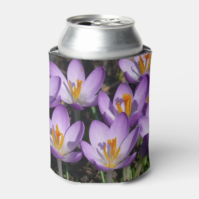 Sunny Purple Crocuses Can Cooler (Can Front)