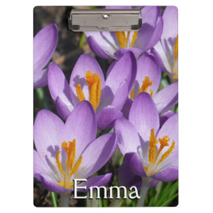 Sunny Purple Crocuses Clipboard