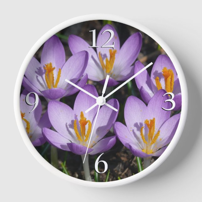 Sunny Purple Crocuses Clock (Front)
