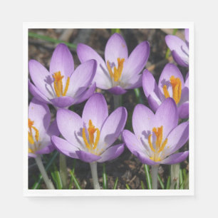 Sunny Purple Crocuses Napkin