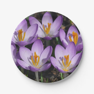 Sunny Purple Crocuses Paper Plate