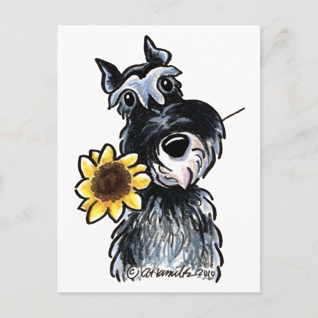 Sunny Schnauzer Classic Postcard (Front)