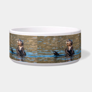 Sunny Sea Otter