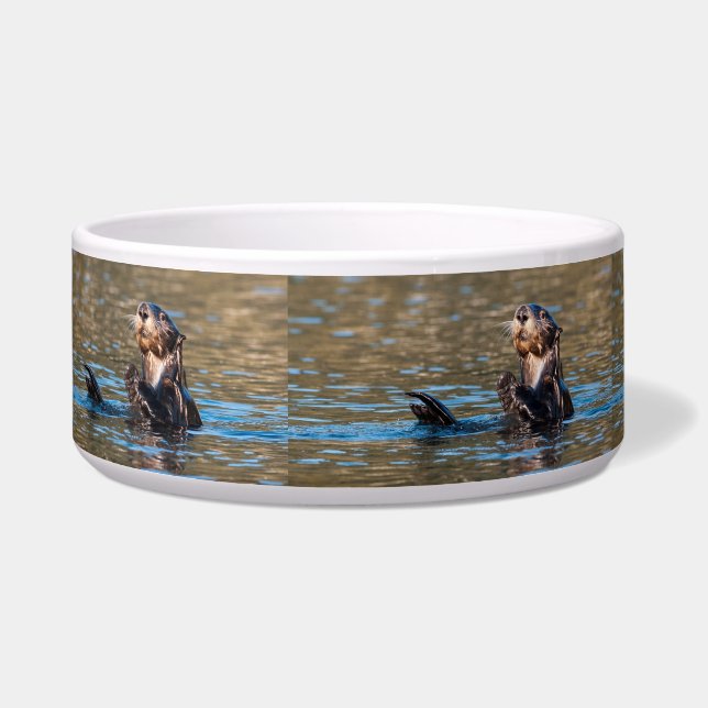 Sunny Sea Otter (Left)