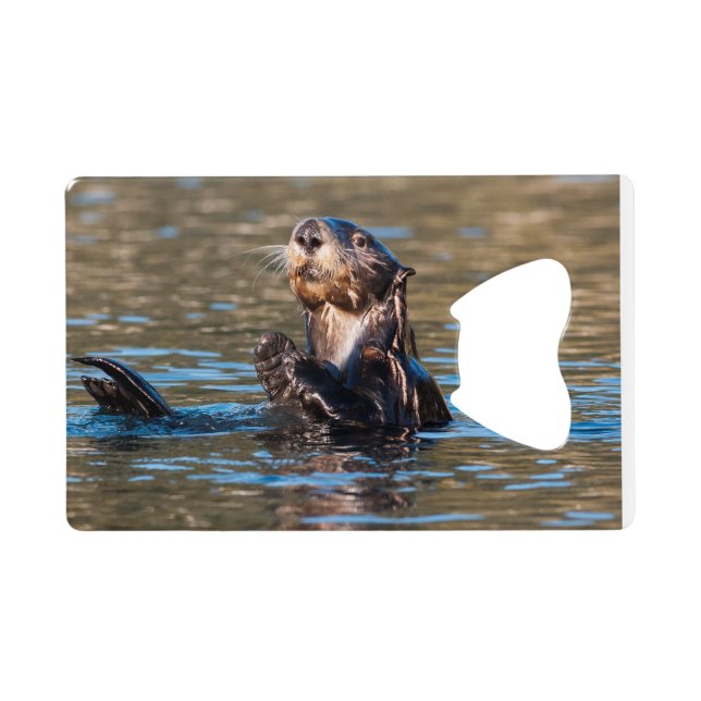 Sunny Sea Otter (Back Horizontal)