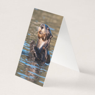 Sunny Sea Otter