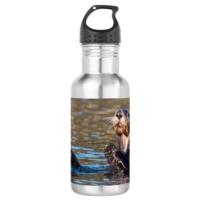 Sunny Sea Otter 532 Ml Water Bottle (Front)