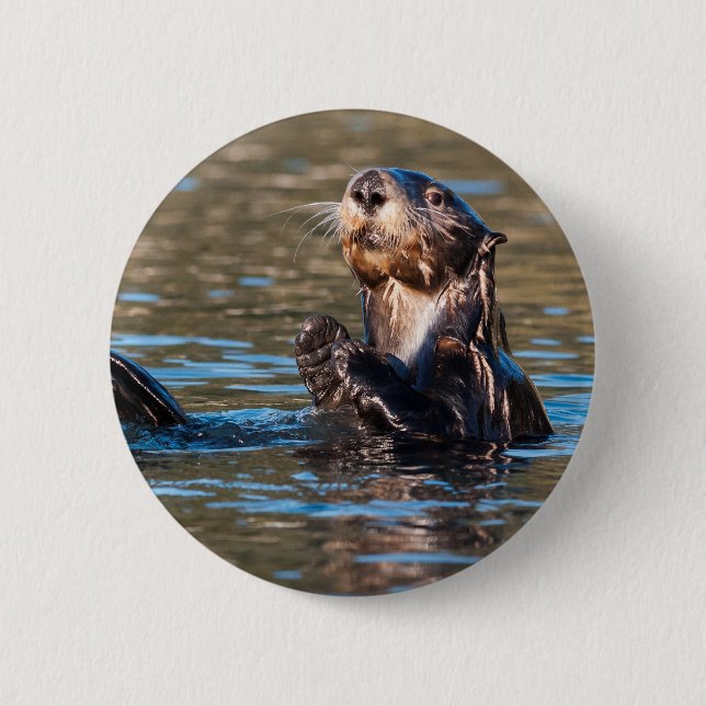 Sunny Sea Otter 6 Cm Round Badge (Front)