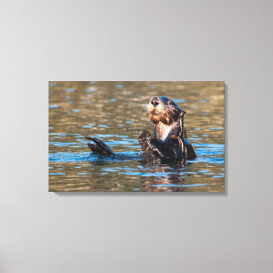 Sunny Sea Otter Canvas Print