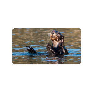 Sunny Sea Otter Label