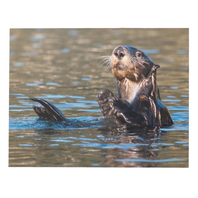 Sunny Sea Otter Notepad (Front)