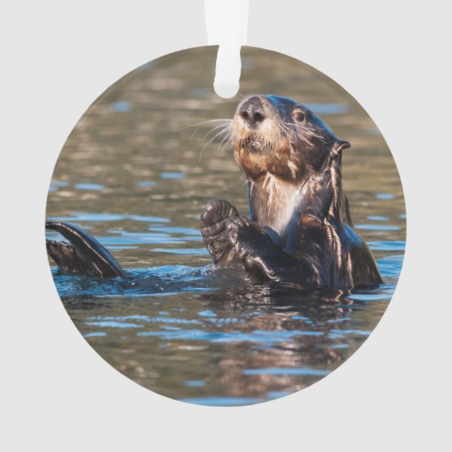 Sunny Sea Otter Ornament (Back)