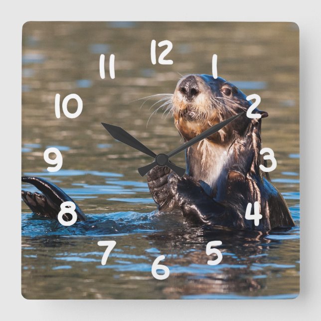 Sunny Sea Otter Square Wall Clock (Front)