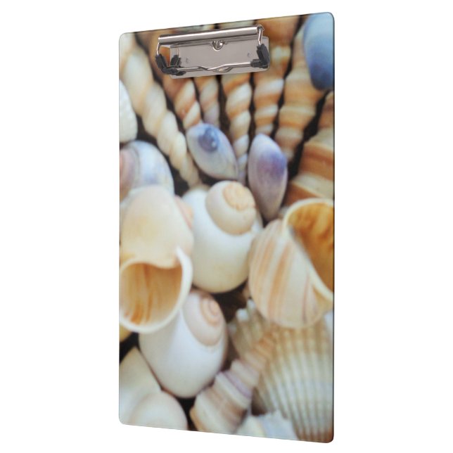 Sunny Seashells, Clipboard, Summer Beach, Nature Clipboard (Left)