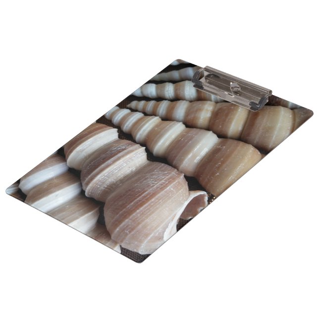Sunny Seashells, Clipboard, Summer Beach, Nature Clipboard (Angled)