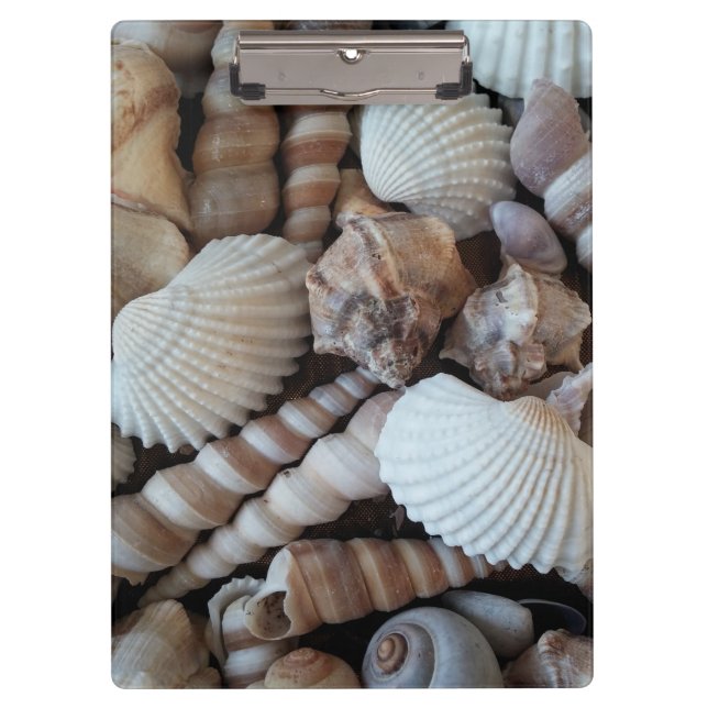 Sunny Seashells, Clipboard, Summer Beach, Nature Clipboard (Front)