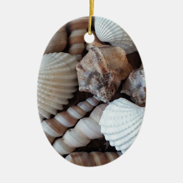 Sunny Seashells Collection Nature Summer Ceramic Tree Decoration (Front)