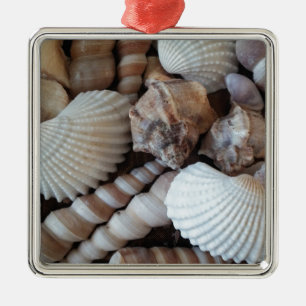 Sunny Seashells Collection Nature Summer Metal Tree Decoration