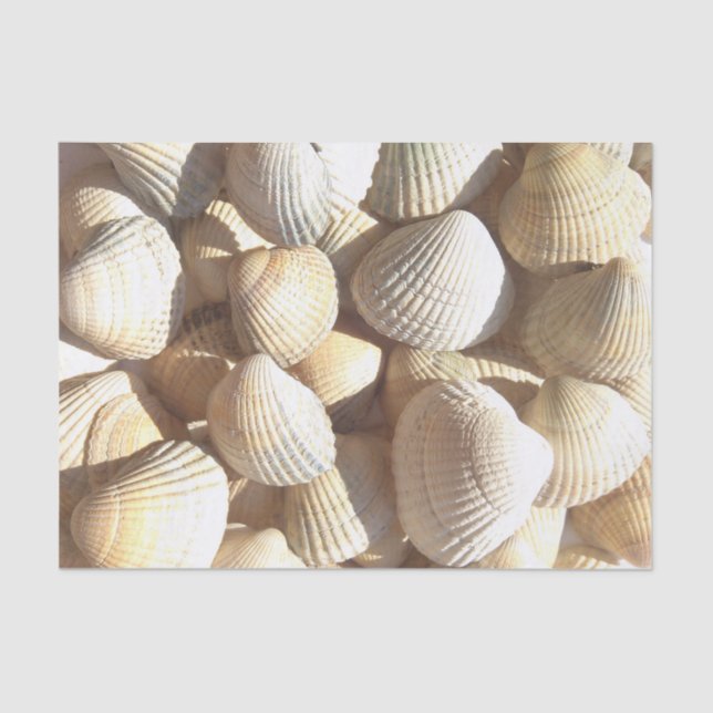 Sunny Seashells Collection, Summer Beach, Tissue Tissue Paper (Front)