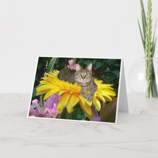 Sunny Side of the Street Card (Front)