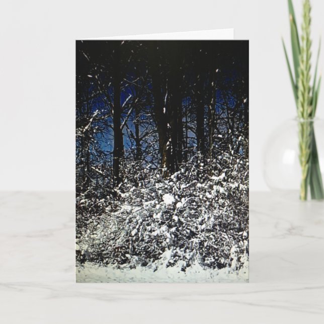 Sunny Snowy Christmas Frameable Card 5x7 (Front)