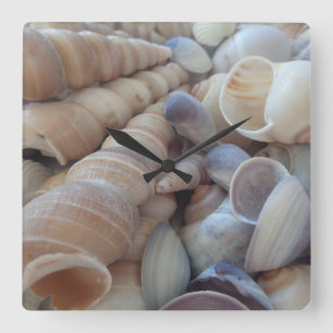 Sunny Summer Sea Shells. Romantic, Exotic Tropical Square Wall Clock