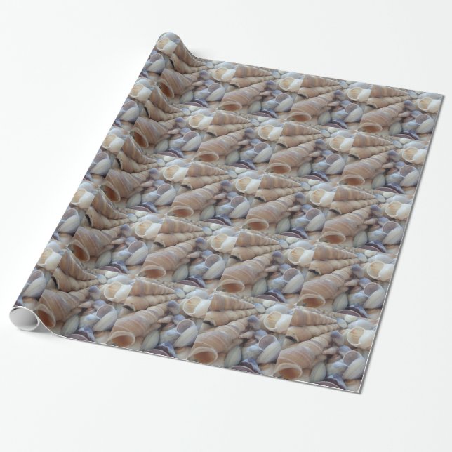 Sunny Summer Seashells. Romantic, Exotic Tropical Wrapping Paper (Unrolled)