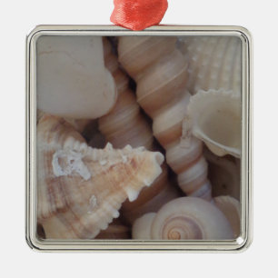 Sunny Summer Seashells, Sea Shell Beach Love Metal Tree Decoration