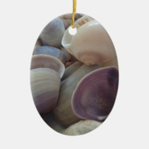 Sunny Summer Seashells, Sea Shell Beach Ocean Ceramic Tree Decoration