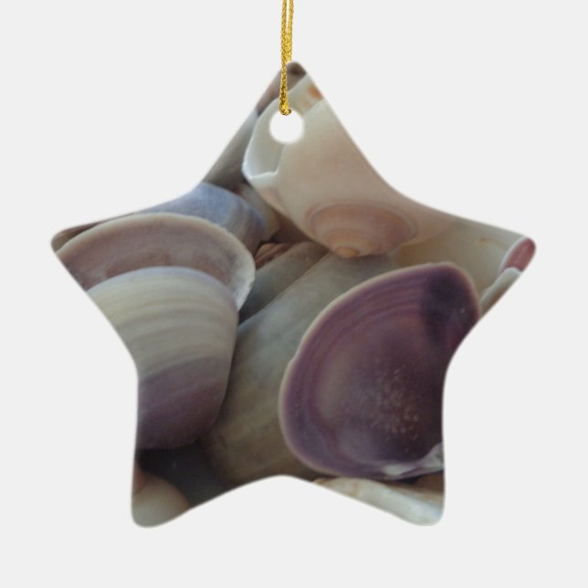 Sunny Summer Seashells, Sea Shell Beach Ocean Ceramic Tree Decoration (Front)