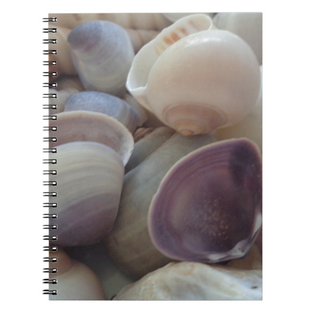 Sunny Summer Seashells, Sea Shell Beach Ocean Notebook (Front)