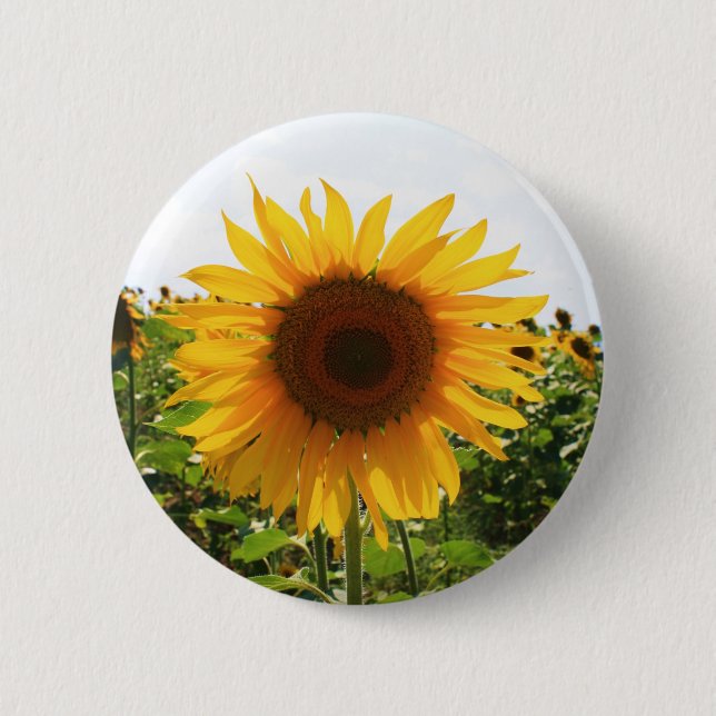 Sunny Sunflower 6 Cm Round Badge (Front)