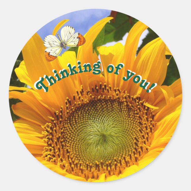Sunny Sunflower and butterfly, Thinking of You Classic Round Sticker (Front)